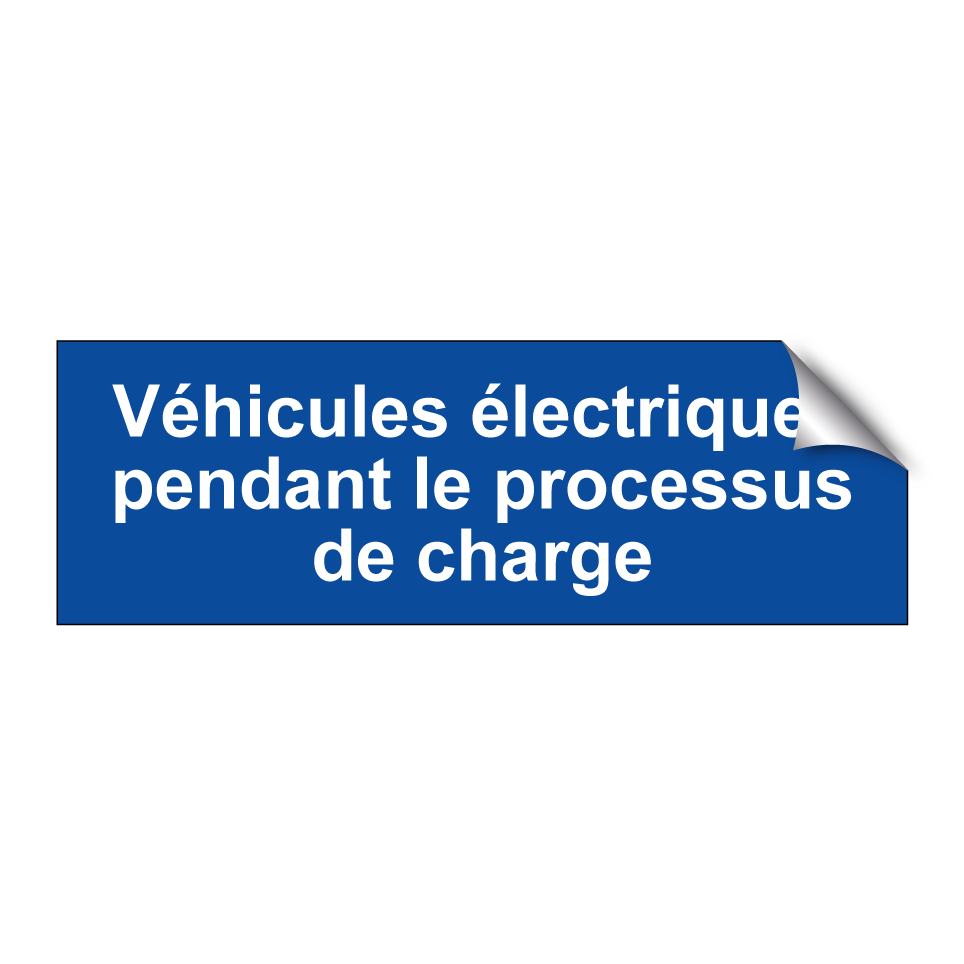 Véhicules électriques pendant le processus de charge