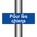 Pour les chiens