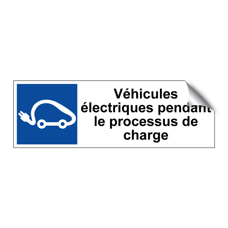 Véhicules électriques pendant le processus de charge