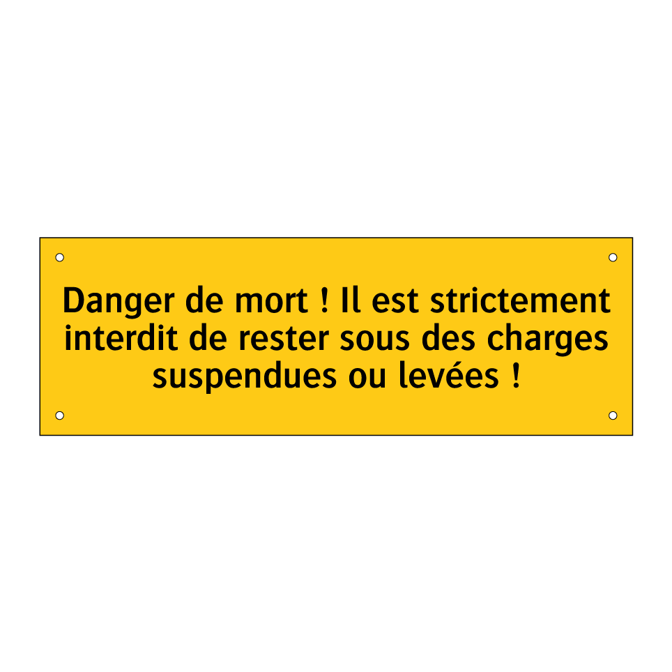 Danger de mort ! Il est strictement interdit de rester sous des charges suspendues ou levées !