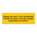 Danger de mort ! Il est strictement interdit de rester sous des charges suspendues ou levées !