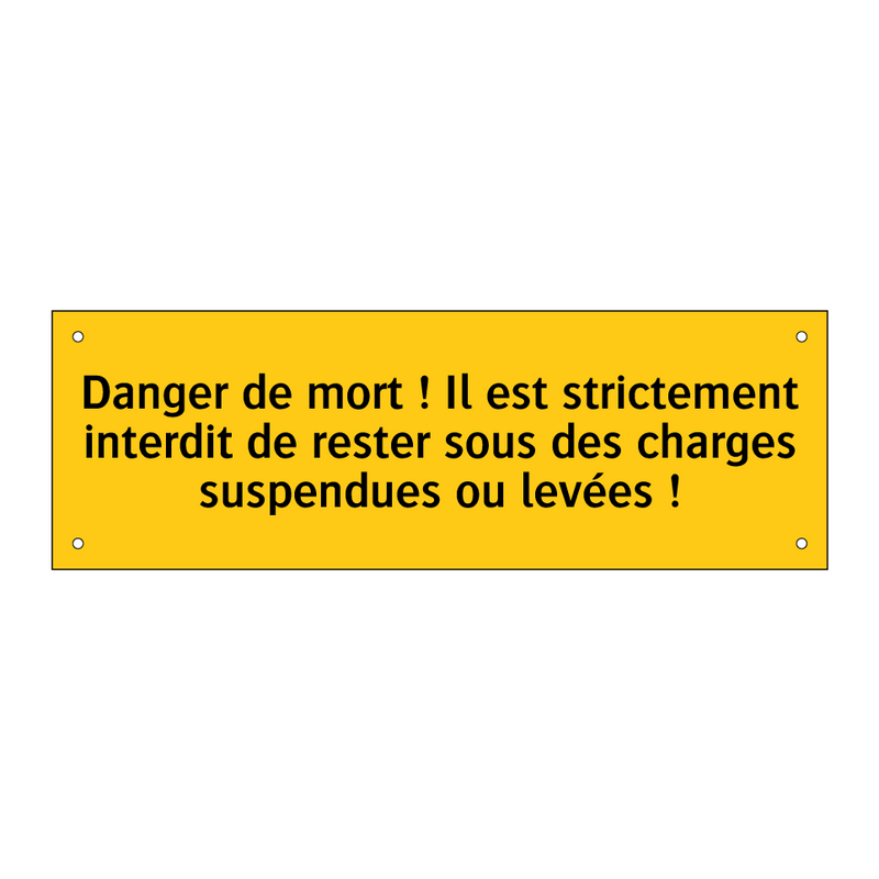 Danger de mort ! Il est strictement interdit de rester sous des charges suspendues ou levées !