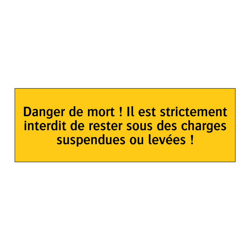 Danger de mort ! Il est strictement interdit de rester sous des charges suspendues ou levées !