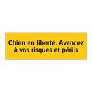 Chien en liberté. Avancez à vos risques et périls