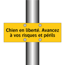Chien en liberté. Avancez à vos risques et périls