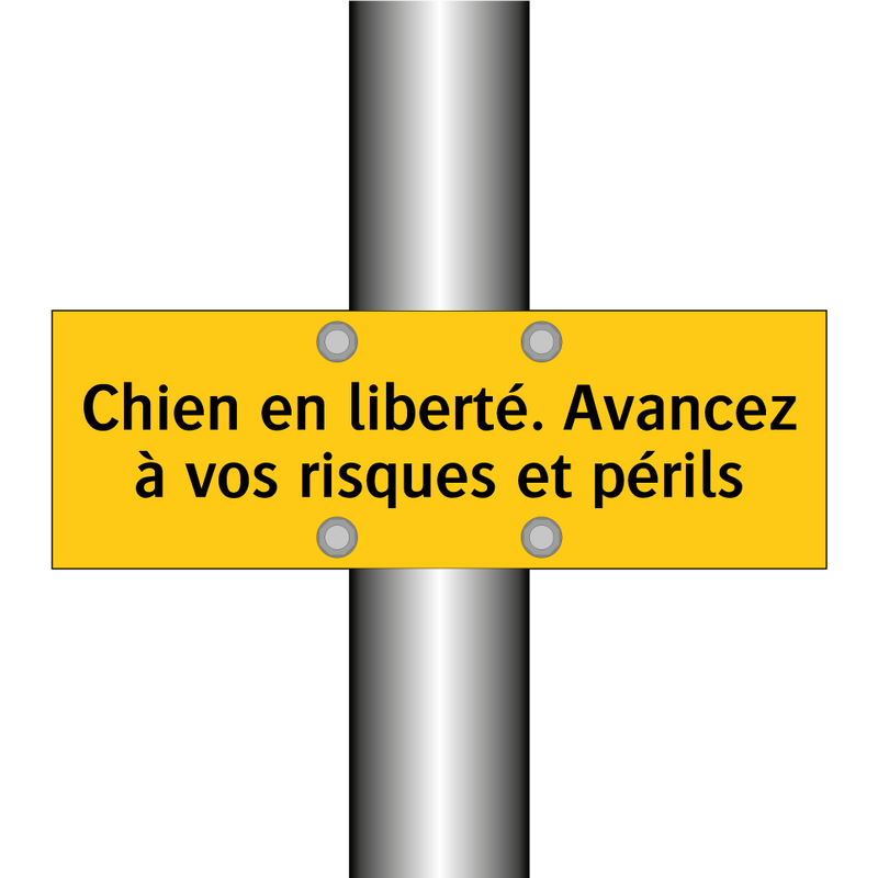 Chien en liberté. Avancez à vos risques et périls
