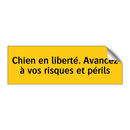 Chien en liberté. Avancez à vos risques et périls
