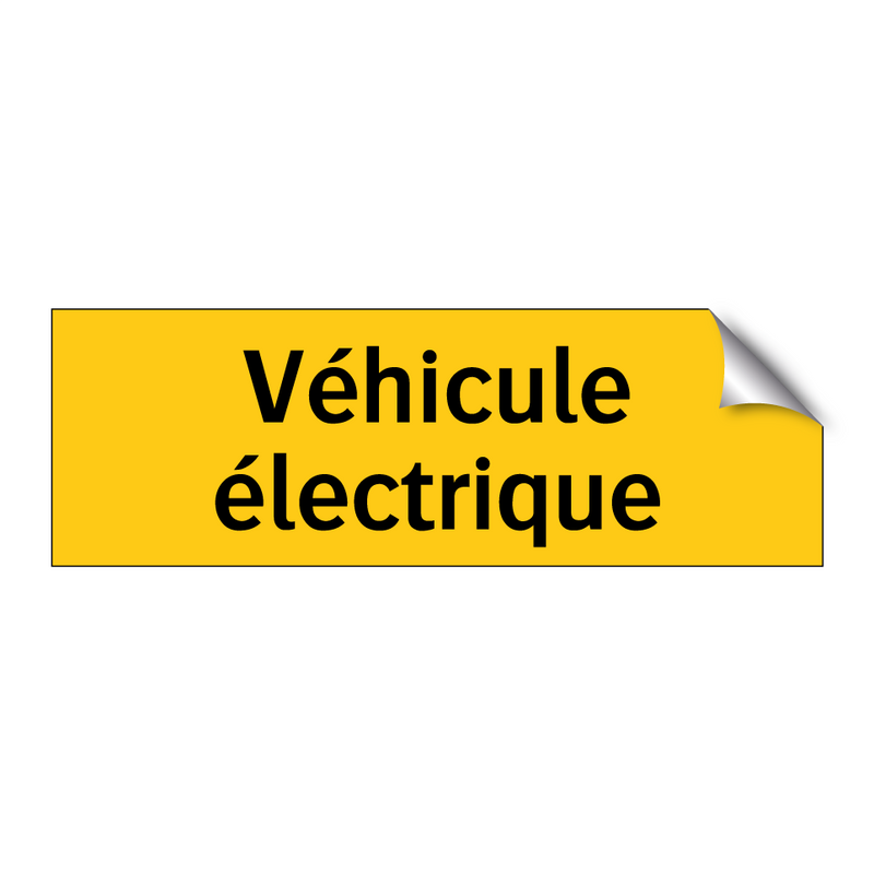 Véhicule électrique