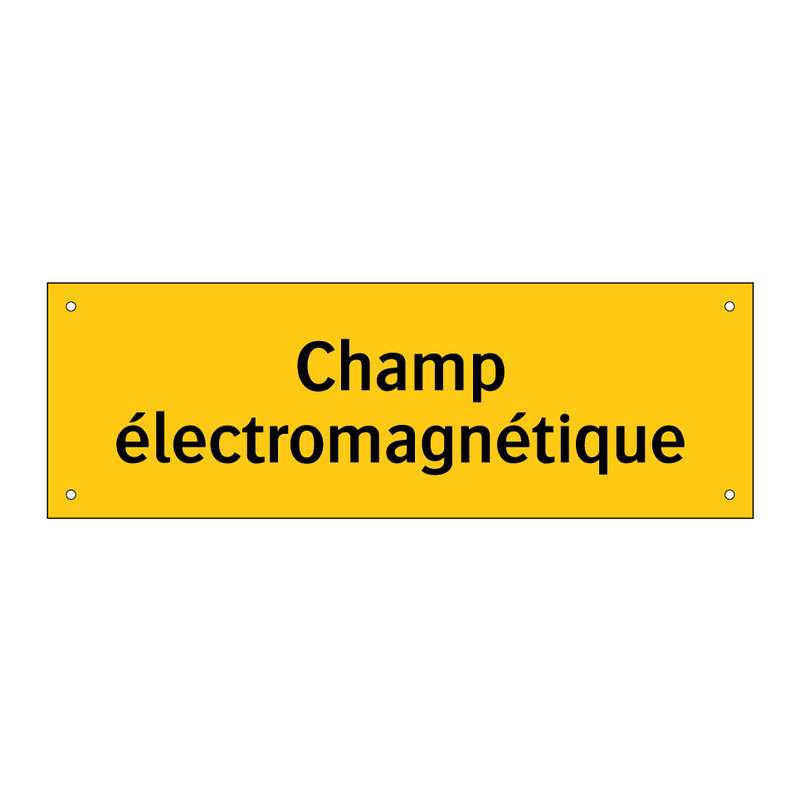 Champ électromagnétique