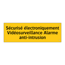 Sécurisé électroniquement Vidéosurveillance Alarme anti-intrusion