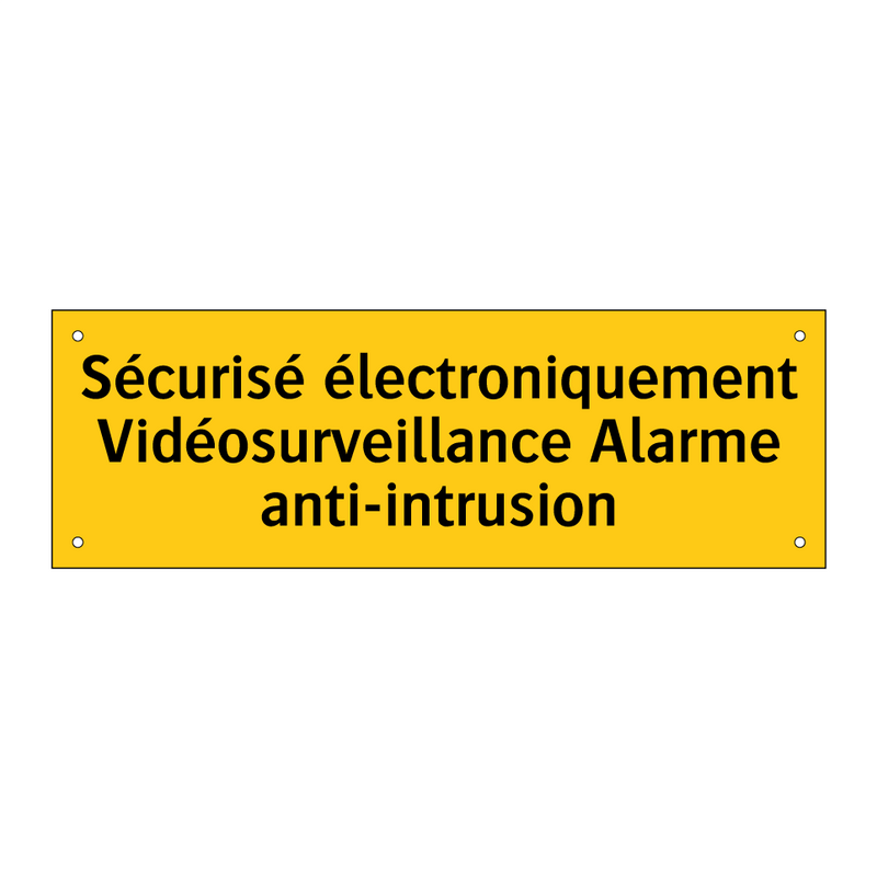 Sécurisé électroniquement Vidéosurveillance Alarme anti-intrusion