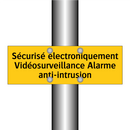 Sécurisé électroniquement Vidéosurveillance Alarme anti-intrusion