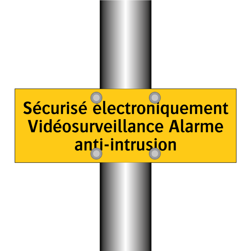 Sécurisé électroniquement Vidéosurveillance Alarme anti-intrusion