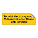 Sécurisé électroniquement Vidéosurveillance Alarme anti-intrusion
