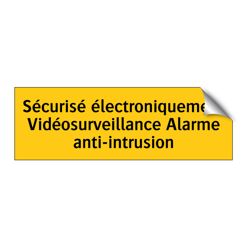 Sécurisé électroniquement Vidéosurveillance Alarme anti-intrusion