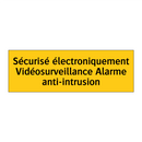Sécurisé électroniquement Vidéosurveillance Alarme anti-intrusion