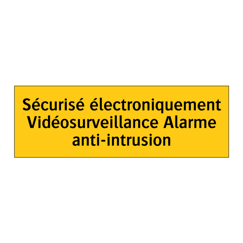 Sécurisé électroniquement Vidéosurveillance Alarme anti-intrusion