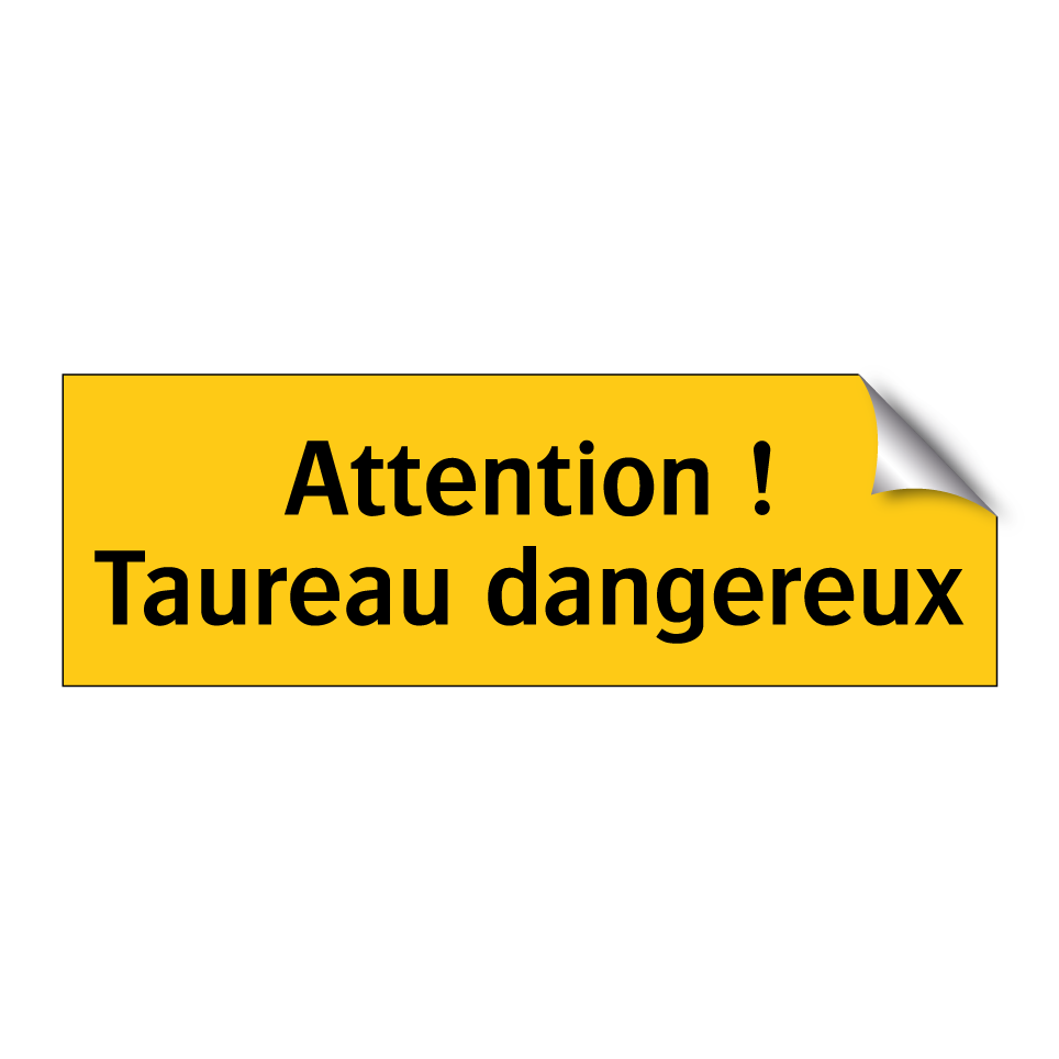 Attention ! Taureau dangereux