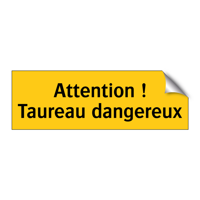 Attention ! Taureau dangereux