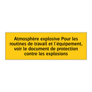 Atmosphère explosive Pour les routines de travail et l'équipement, voir le document de protection contre les explosions