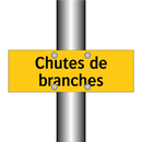 Chutes de branches