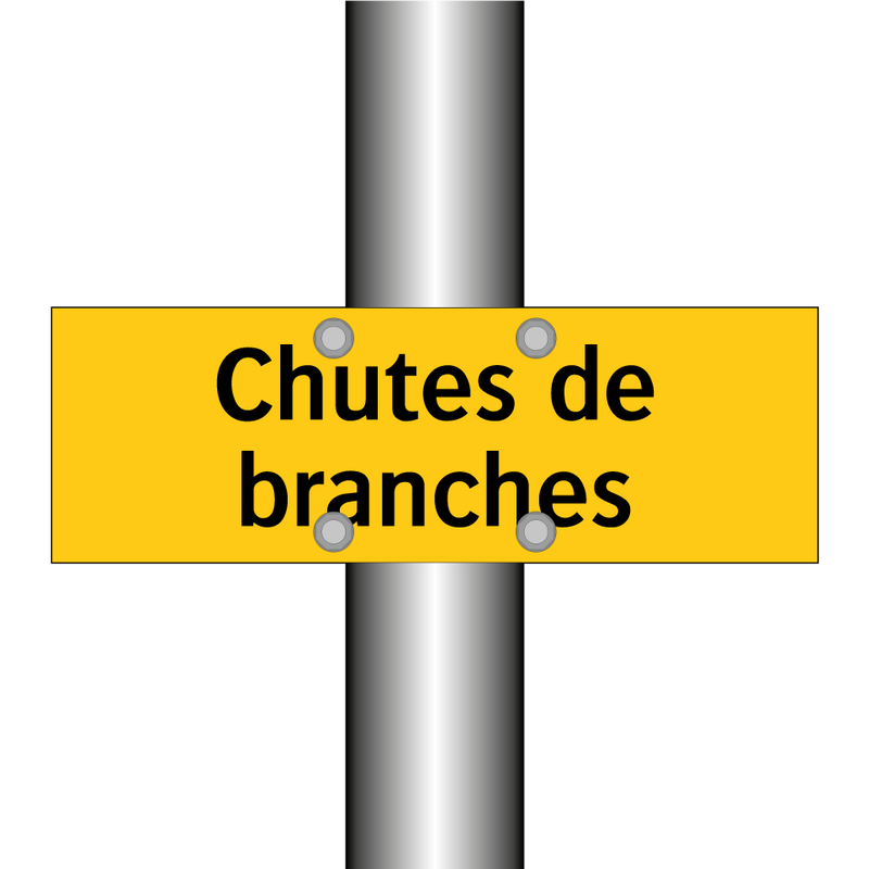 Chutes de branches