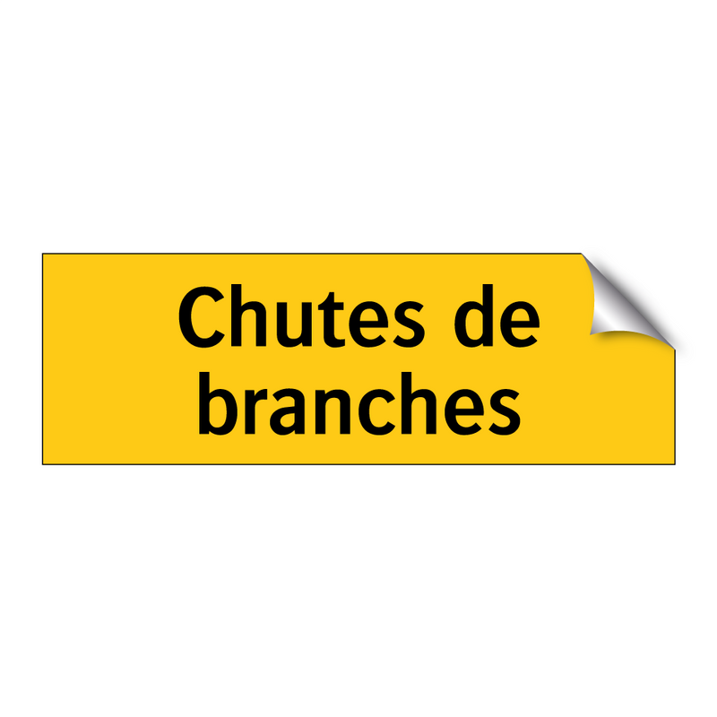 Chutes de branches
