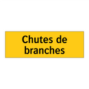 Chutes de branches