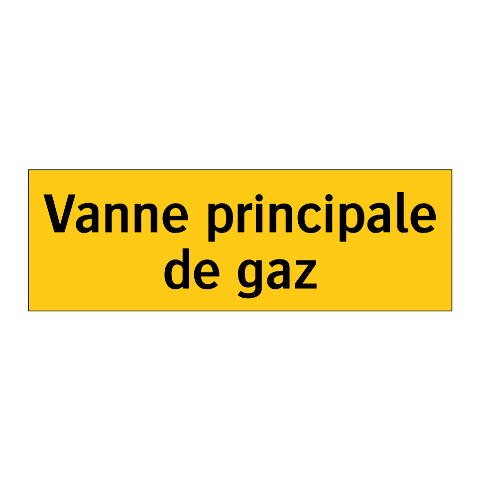 Vanne principale de gaz