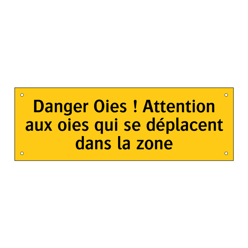 Danger Oies ! Attention aux oies qui se déplacent dans la zone