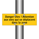 Danger Oies ! Attention aux oies qui se déplacent dans la zone
