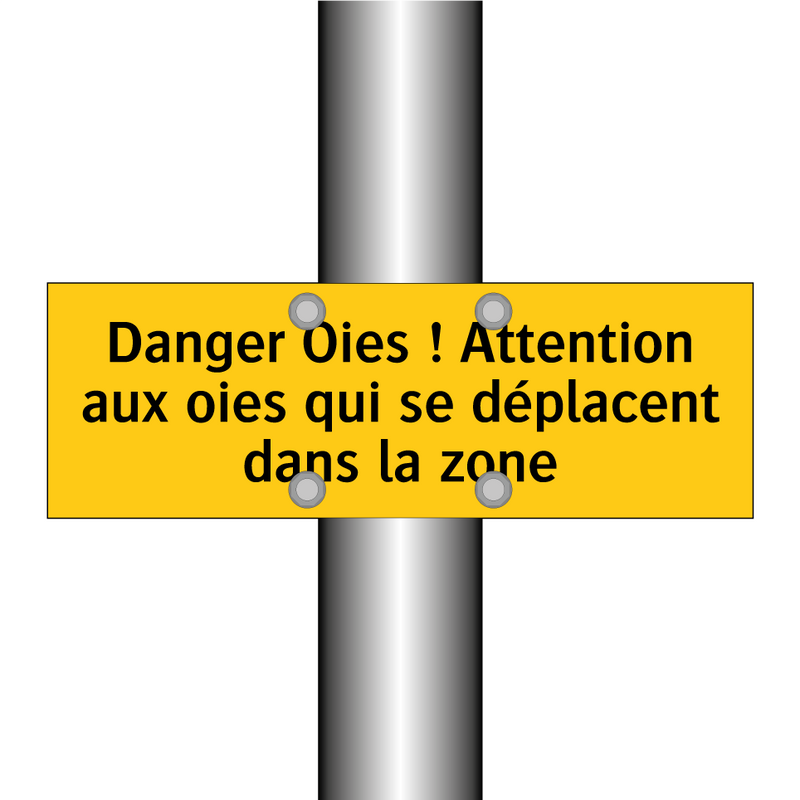 Danger Oies ! Attention aux oies qui se déplacent dans la zone