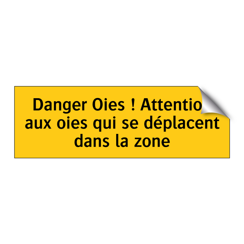 Danger Oies ! Attention aux oies qui se déplacent dans la zone
