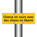 Chasse en cours avec des chiens en liberté