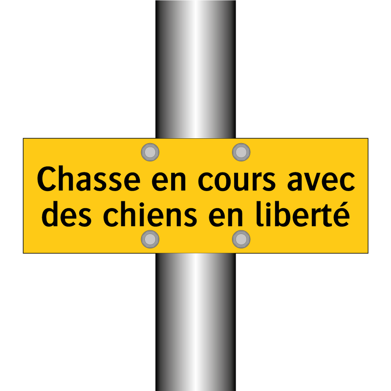 Chasse en cours avec des chiens en liberté