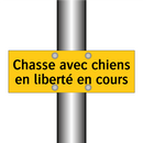 Chasse avec chiens en liberté en cours