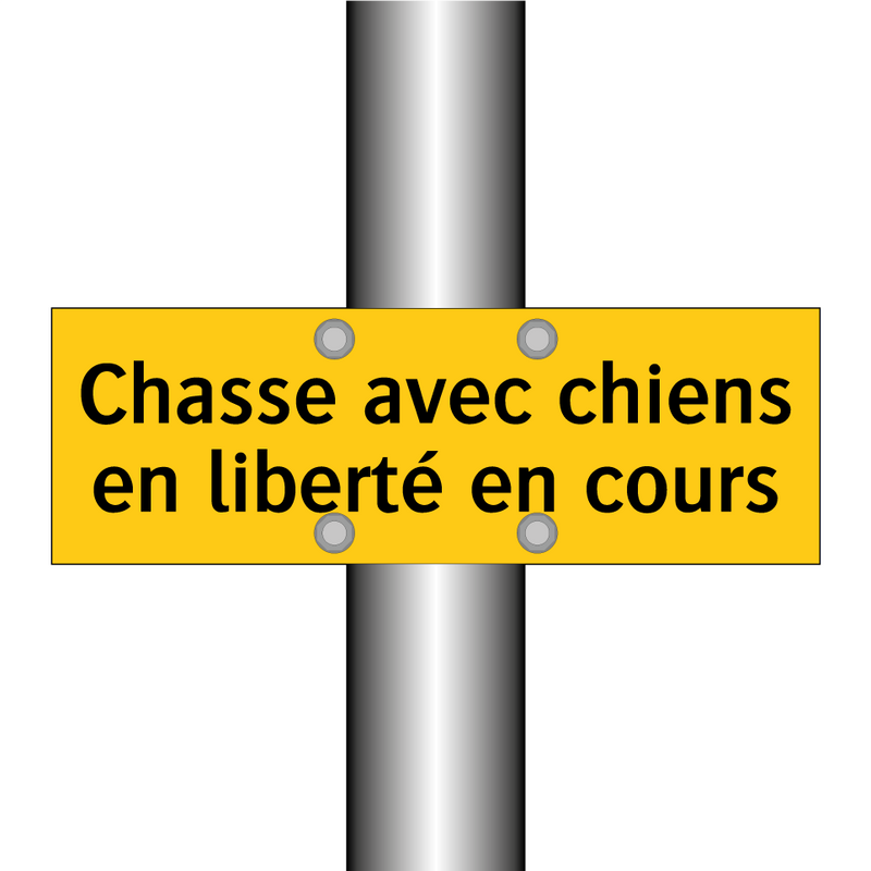 Chasse avec chiens en liberté en cours