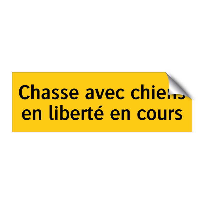 Chasse avec chiens en liberté en cours
