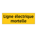 Ligne électrique mortelle