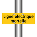 Ligne électrique mortelle