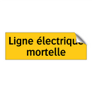 Ligne électrique mortelle