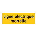 Ligne électrique mortelle