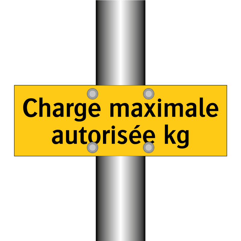 Charge maximale autorisée kg