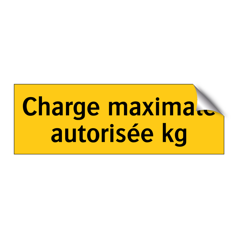 Charge maximale autorisée kg