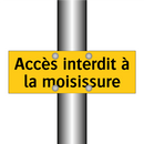 Accès interdit à la moisissure