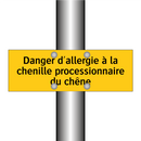 Danger d'allergie à la chenille processionnaire du chêne
