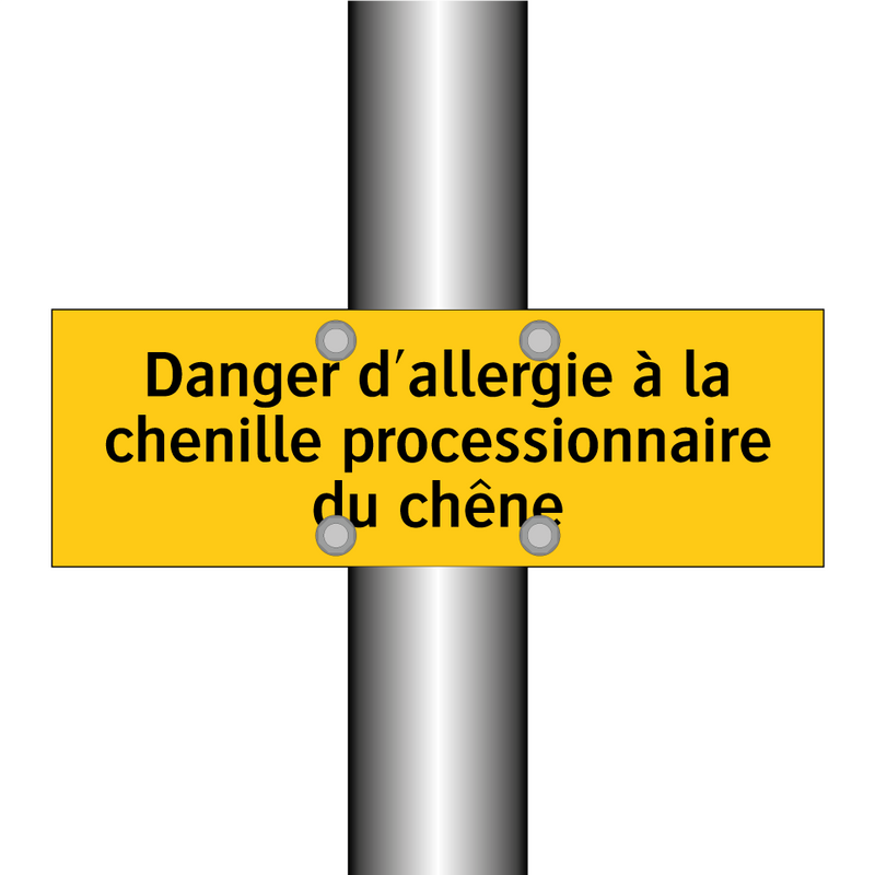 Danger d'allergie à la chenille processionnaire du chêne
