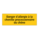 Danger d'allergie à la chenille processionnaire du chêne