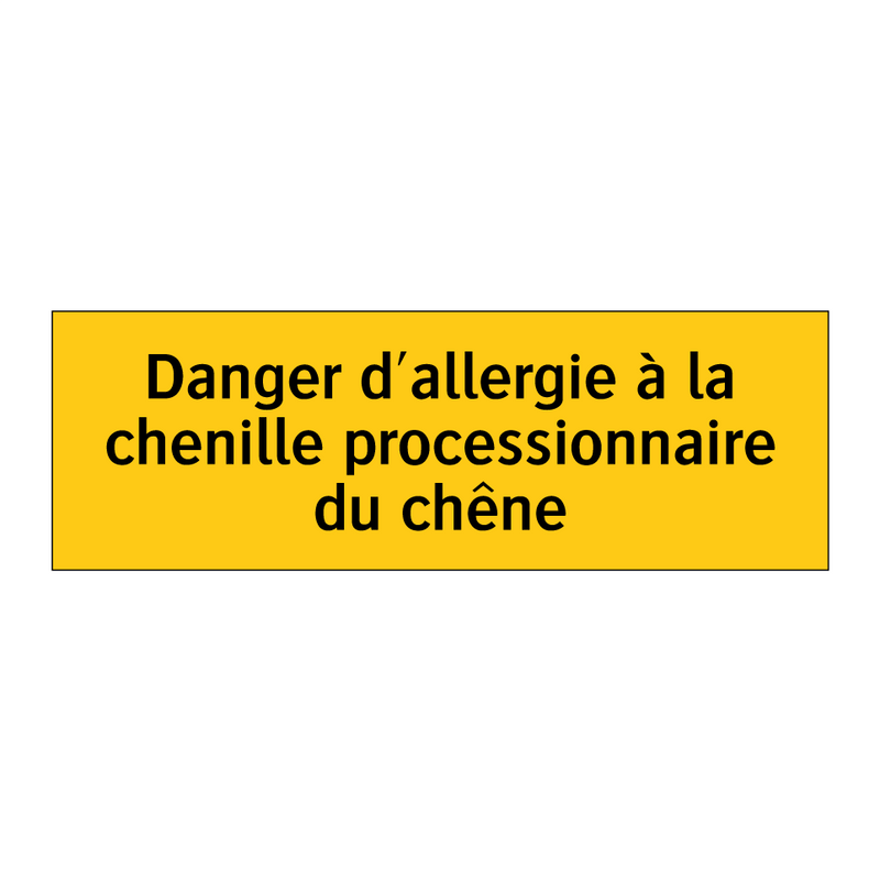 Danger d'allergie à la chenille processionnaire du chêne