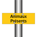 Animaux Présents